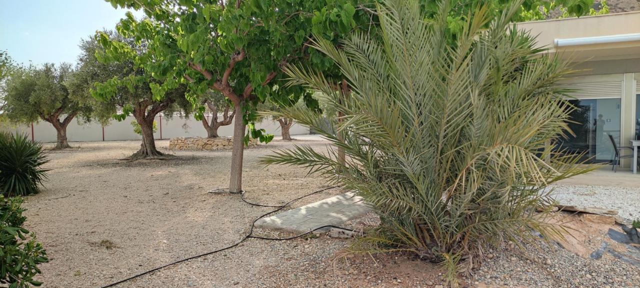 Casa Con Vistas En Agost Βίλα Εξωτερικό φωτογραφία
